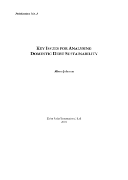 key issues for analysing domestic debt sustainability