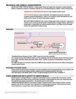 Mechanical and Chemical characteristics of smooth muscle