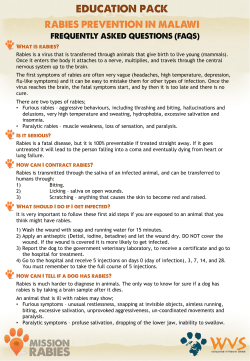 Rabies is a virus that is transferred through animals that give birth to