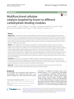 Multifunctional cellulase catalysis targeted by fusion to different