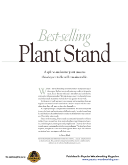 Best Selling Plant Stand