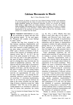 Calcium Movements in Muscle