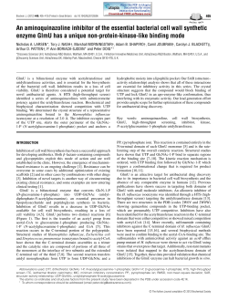 An aminoquinazoline inhibitor of the essential bacterial cell wall
