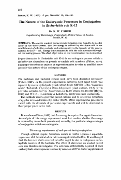 The Nature of the Endergonic Processes in