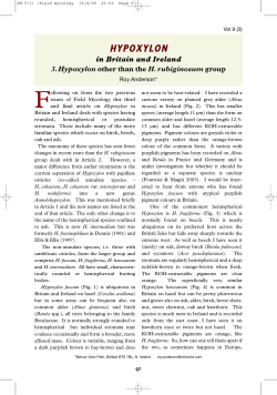 Hypoxylon Pt3 - The British Mycological Society