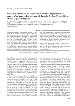 Birds and mammals off the northern coast of Argentina: first report of
