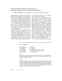 THE USE OF LEAD CITRATE AT HIGH pH AS AN