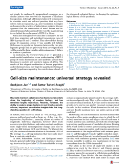 Cell-size maintenance - University of California San Diego