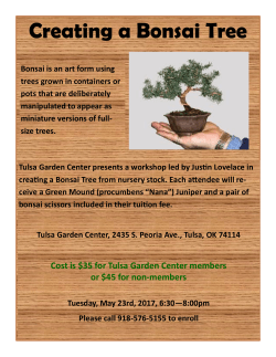 Creating a Bonsai Tree