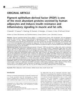 Pigment epithelium-derived factor is one of the most abundant