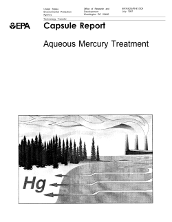 Aqueous Mercury Treatment - CLU-IN