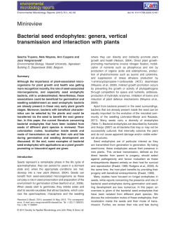 Bacterial seed endophytes: genera, vertical transmission and