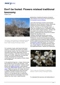 Don`t be fooled: Flowers mislead traditional taxonomy