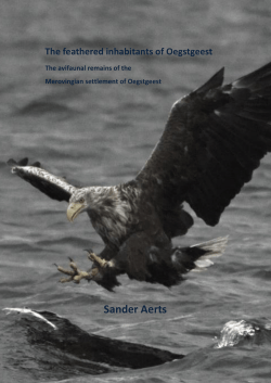 Sander Aerts - Universiteit Leiden