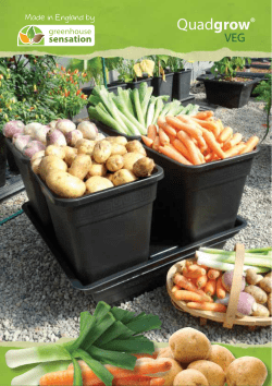 Quadgrow Veg - Greenhouse Sensation
