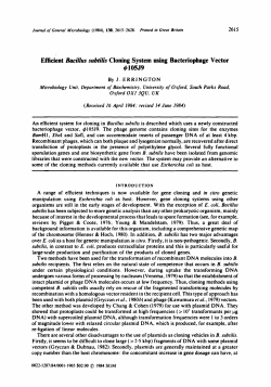 Elficient Bacillrrs subtilis Cloning System using Bacteriophage Vector