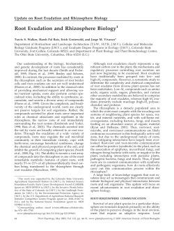 Root Exudation and Rhizosphere Biology