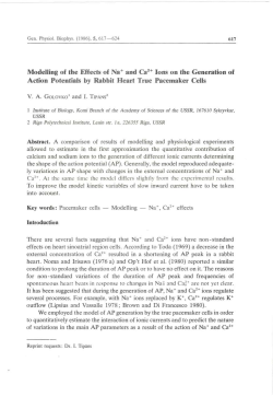 Modelling of the Effects of Na+ and Ca2+ Ions on the Generation of