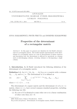 Properties of the determinant of a rectangular matrix