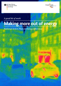 Making more out of energy. National Action Plan on Energy Efficiency