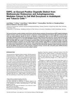 EXPO, an Exocyst-Positive Organelle Distinct from