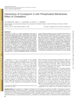 Interactions of Cyclosporin A with Phospholipid Membranes: Effect