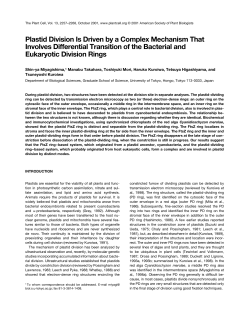 Plastid Division Is Driven by a Complex Mechanism