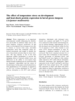 Acipenser medirostri - Cramer Fish Sciences