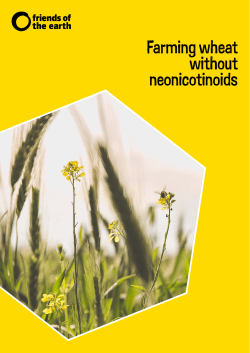 Farming wheat without neonicotinoids