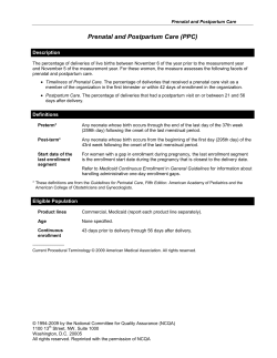 Prenatal and Postpartum Care (PPC)