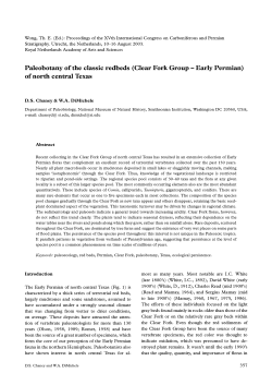 Paleobotany of the classic redbeds (Clear Fork Group