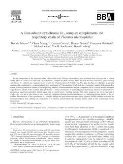 A four-subunit cytochrome bc1 complex complements the respiratory