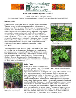 Plant-Mediated IPM Systems Explained