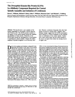 The Drosophila Kinesin-like Protein KLP3A Is a Midbody