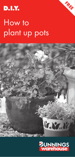 How to plant up pots - Bunnings Warehouse UK