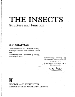 THE INSECTS