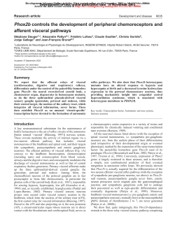 Phox2b controls the development of peripheral chemoreceptors and