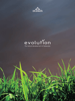 The natural development of tableware