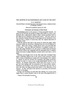 THE GROWTH OF BACTERIOPHAGE AND LYSIS