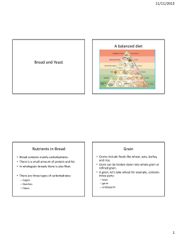 Bread and Yeast ppt