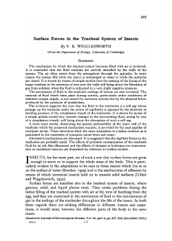 Surface Forces in the Tracheal System of Insects