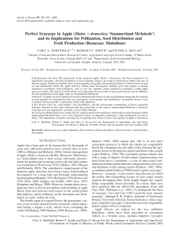 Perfect Syncarpy in Apple (Malus &middot; domestica