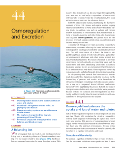 44-Osmoregulation and Excretion