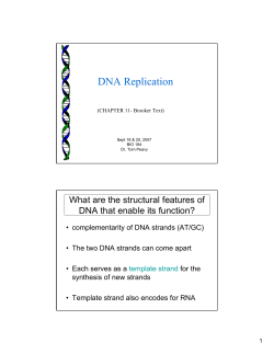 DNA Replication