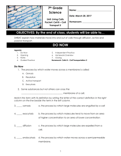 DO NOW - Mr. Searles` Science