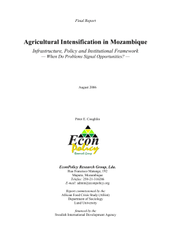 Agricultural Intensification in Mozambique