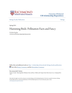 Humming Birds: Pollination Facts and Fancy