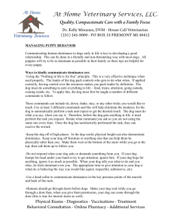 Managing Puppy Behavior - At Home Veterinary Services