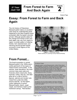 From Forest to Farm And Back Again Essay: From Forest to Farm