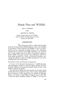 Prairie Fires and Wildlife - Tall Timbers Research Station